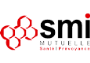 logo Smi